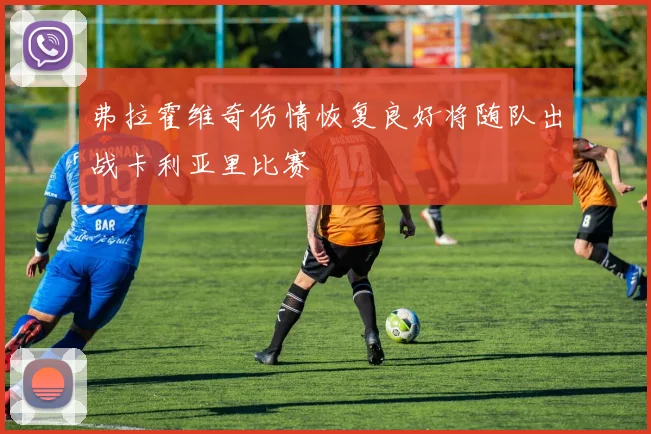 弗拉霍维奇伤情恢复良好将随队出战卡利亚里比赛