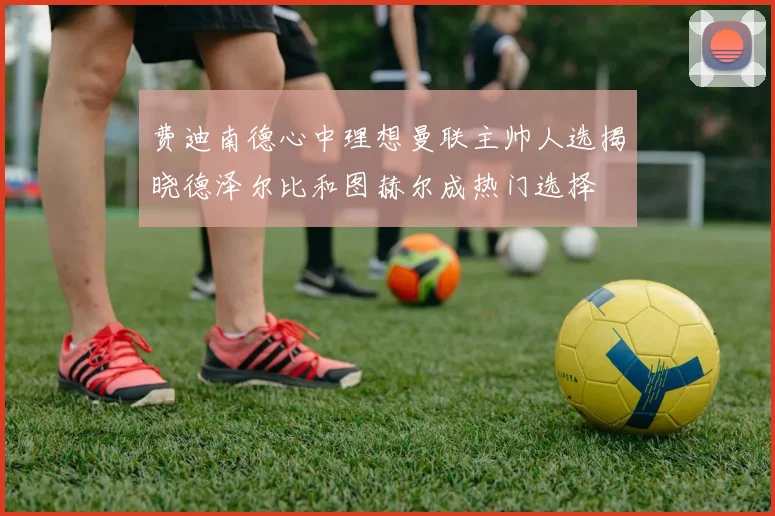 费迪南德心中理想曼联主帅人选揭晓德泽尔比和图赫尔成热门选择