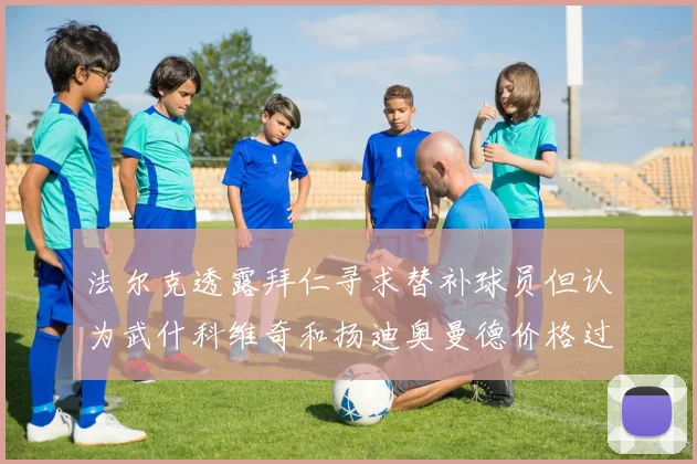 法尔克透露拜仁寻求替补球员但认为武什科维奇和扬迪奥曼德价格过高