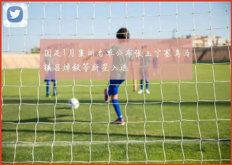 国足1月集训名单公布张玉宁塞鸟马镇吕焯毅等新星入选
