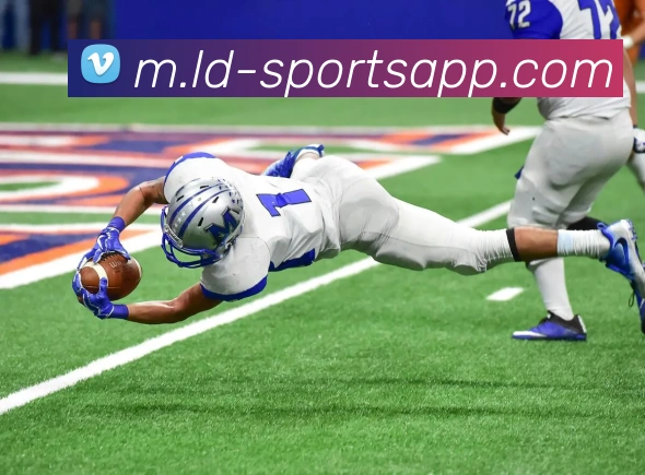 多媒体互动体验