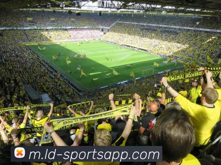 乐动足球APP 高清赛事图