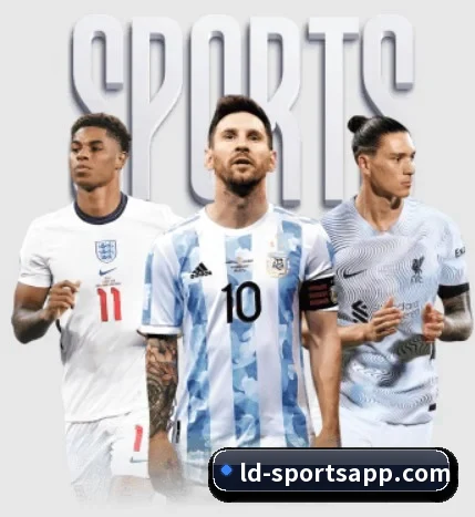 五大服务分区,信息按项目分类(LDSPORTS)